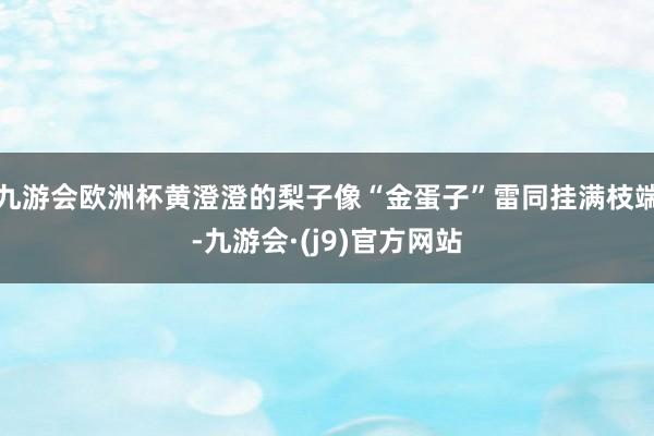 九游会欧洲杯黄澄澄的梨子像“金蛋子”雷同挂满枝端-九游会·(j9)官方网站