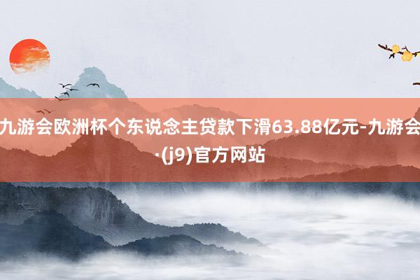 九游会欧洲杯个东说念主贷款下滑63.88亿元-九游会·(j9)官方网站