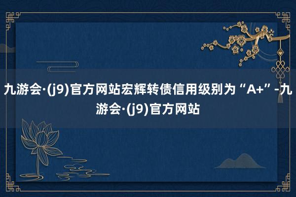 九游会·(j9)官方网站宏辉转债信用级别为“A+”-九游会·(j9)官方网站