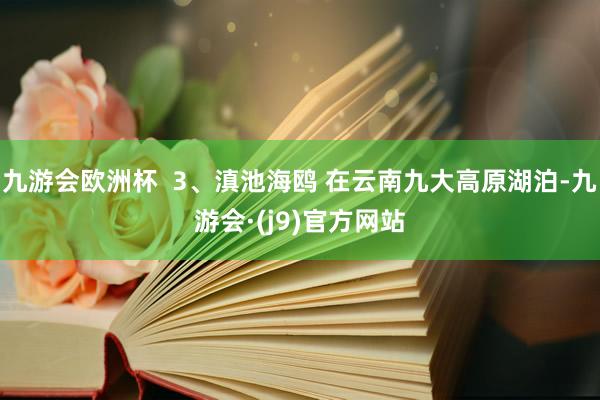 九游会欧洲杯  3、滇池海鸥 在云南九大高原湖泊-九游会·(j9)官方网站