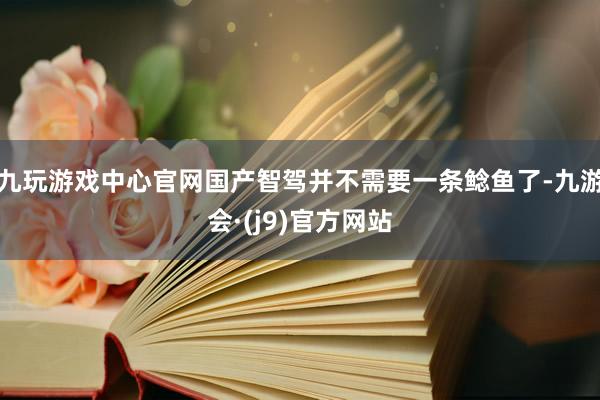 九玩游戏中心官网国产智驾并不需要一条鲶鱼了-九游会·(j9)官方网站